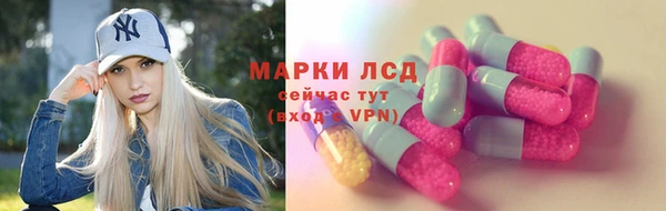 эйфоретик Баксан