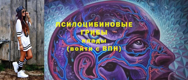 эйфоретик Баксан