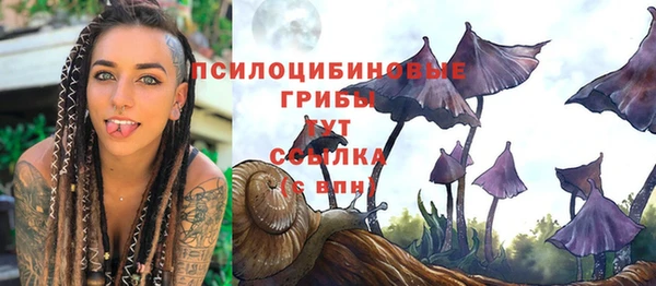 стафф Балахна
