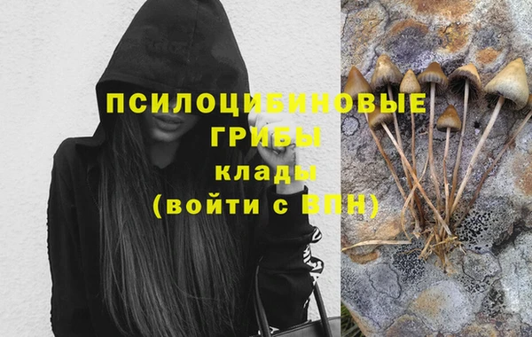 эйфоретик Баксан