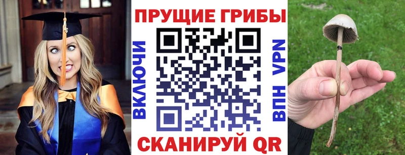 Псилоцибиновые грибы мицелий  Купить закладки  Лесосибирск 